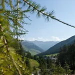 Hotel Des Alpes