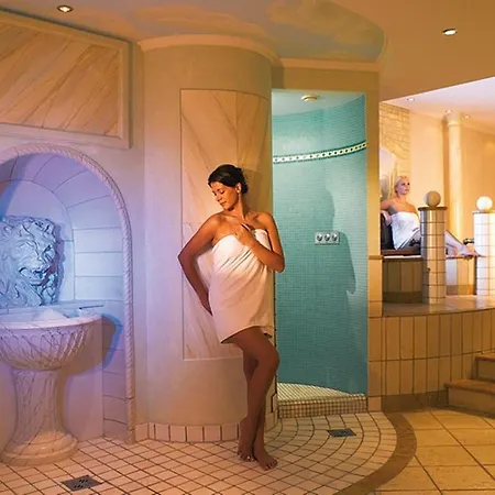 Hotel Des Alpes 3*