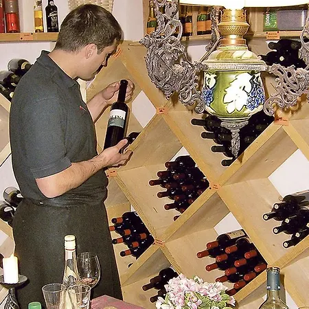 فندق Des Alpes سامنون