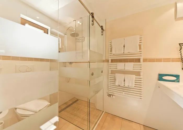 阿尔卑斯酒店 酒店 萨姆瑙恩